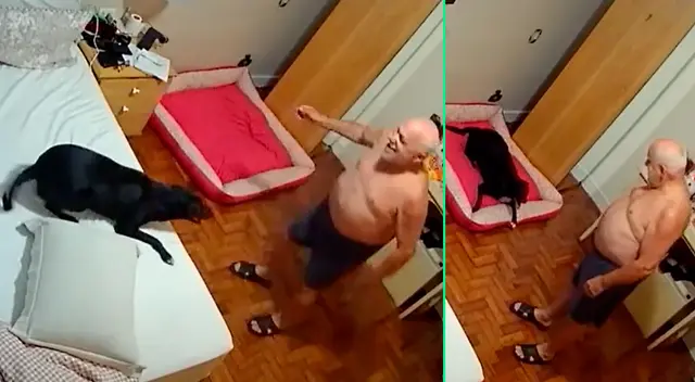 El adulto mayor y el perrito se volvieron mejores amigos. El adulto mayor y el perrito se volvieron mejores amigos.