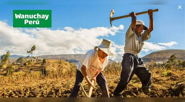 Puedes cobrar el subsidio en las agencias del Banco de la Nación.