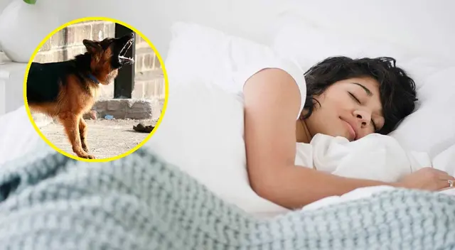 Significado de los sueños Significado de los sueños