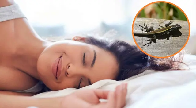 Soñar con lagartijas