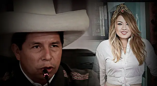 La oposición busca vacar a Pedro Castillo desde que ganó las elecciones. La oposición busca vacar a Pedro Castillo desde que ganó las elecciones.