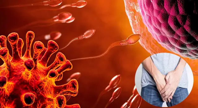 Secuelas del coronavirus Secuelas del coronavirus