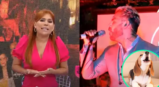 Magaly Medina no tuvo piedad al criticar a Diego Val.