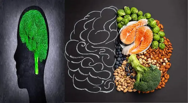 Somos lo que comemos y nuestro cerebro depende de eso. Somos lo que comemos y nuestro cerebro depende de eso.