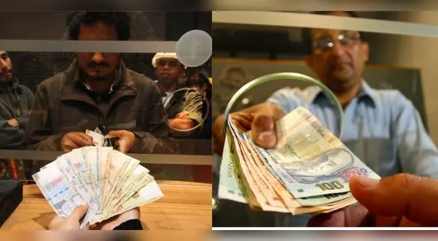 La distribución de las utilidades dependerá del rubro de la empresa.