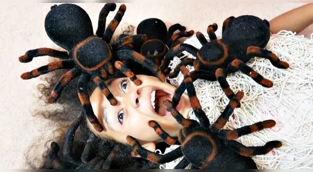 Soñar con arañas