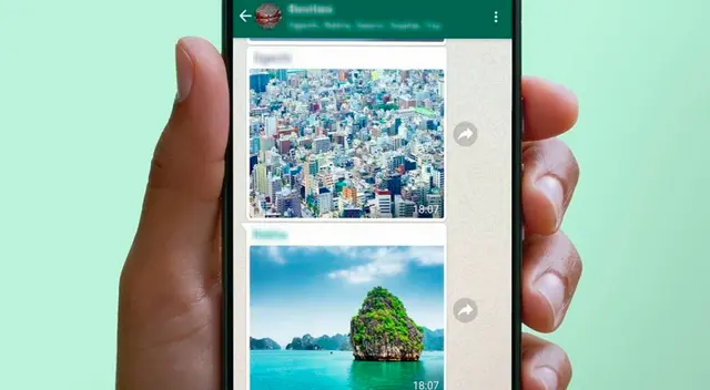 Conoce AQUÍ cómo hacer para que fotos y videos de WhatsApp no se guarden en tu celular. Conoce AQUÍ cómo hacer para que fotos y videos de WhatsApp no se guarden en tu celular.