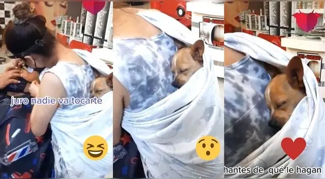 El video ha causado furor en TikTok por el acto de amor que demuestra la dueña al can.