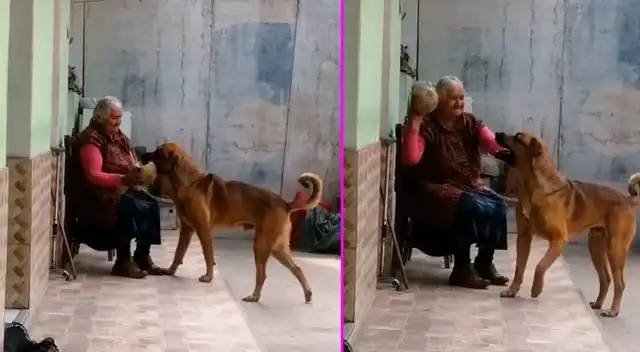 TikTok viral: Adulta mayor es captada jugando a la pelota con su ...