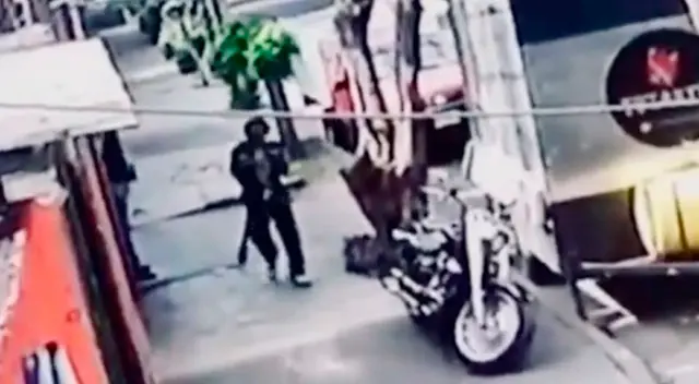 El sujeto fue grabado por las cámaras de seguridad comiento un gato. El sujeto fue grabado por las cámaras de seguridad comiento un gato.