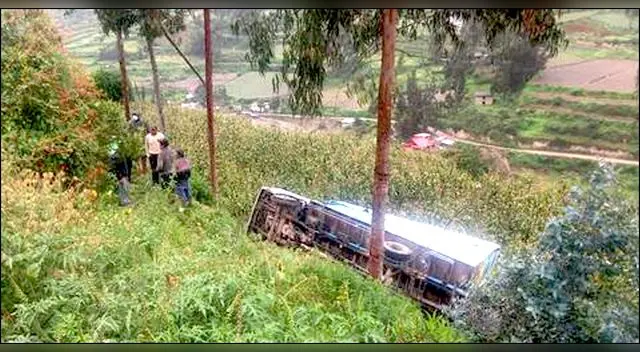 Árbol impide que tráiler caiga a precipicio en Tarma.