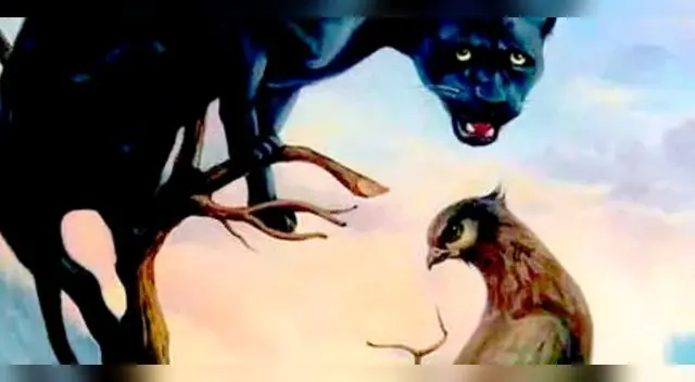 Tras pasar por esta prueba te indicamos unas opciones posibles de podrías haber visto.