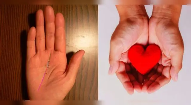 La mano puede revelar aspectos de nuestra vida como puede ser el amor.