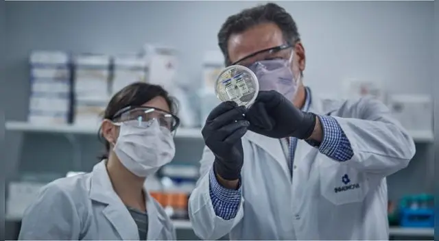 Conoce todo acerca del suero equino que reduce la gravedad en pacientes COVID-19 Conoce todo acerca del suero equino que reduce la gravedad en pacientes COVID-19