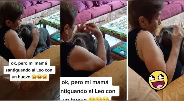 Miles de usuarios quedaron cautivados al ver esta curiosa escena del perrito y la mujer. Miles de usuarios quedaron cautivados al ver esta curiosa escena del perrito y la mujer.