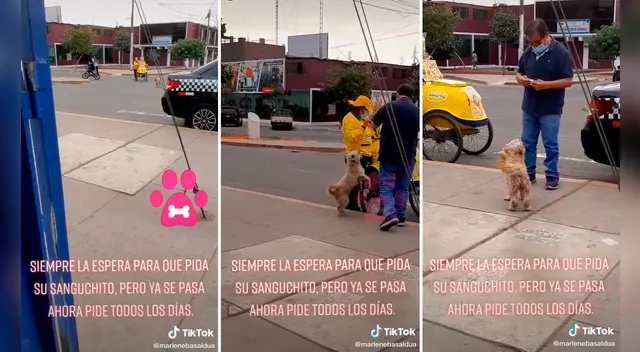 El perrito se emocionó y saltó de felicidad al notar que se acercaba una mujer vendedora de helados. Foto: captura de TikTok