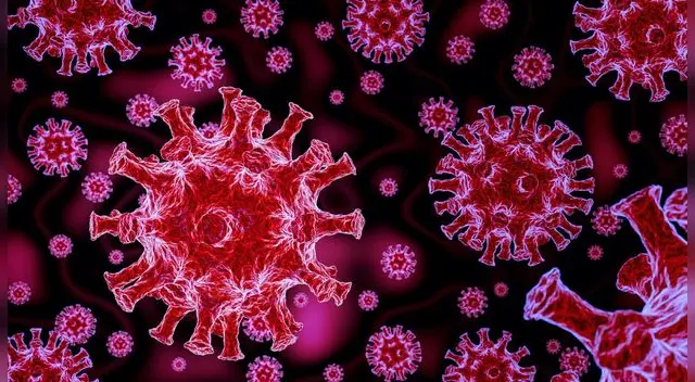 Alerta epidemiológica tras posible cuarta ola que podría ser causada por Ómicron