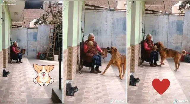 El tierno video ha logrado más de 154.000 visualizaciones en redes sociales en solo dos días.