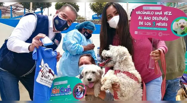 Campaña antirrábica 'VanCAn' hasta el 22 de marzo. Conozca si su distrito está entre los elegidos.