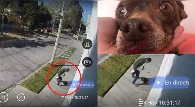 Este nuevo caso de maltrato animal en el país ha indignado a todos exigiendo una pena severa. Este nuevo caso de maltrato animal en el país ha indignado a todos exigiendo una pena severa.