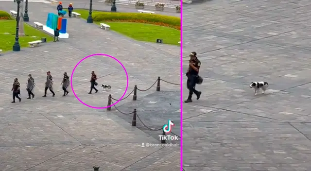 El perrito desfiló con los policías en fila india.