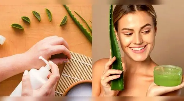 La sábila es un excelente antiflamatorio ante los golpes.