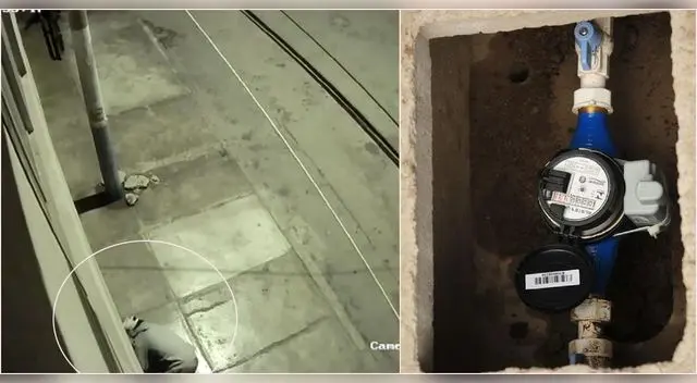 Cámaras de seguridad captan a delincuente llevarse medidor de agua durante la madrugada.