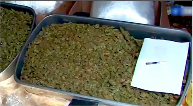 PNP: incauta 100 kilos de droga en almacén de empresa de transporte de encomienda