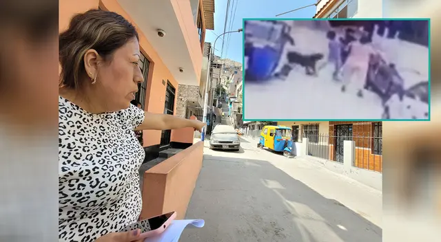 Pitbull muerde a niño que jugaba en cerca a su vivienda en el Rímac. Pitbull muerde a niño que jugaba en cerca a su vivienda en el Rímac.