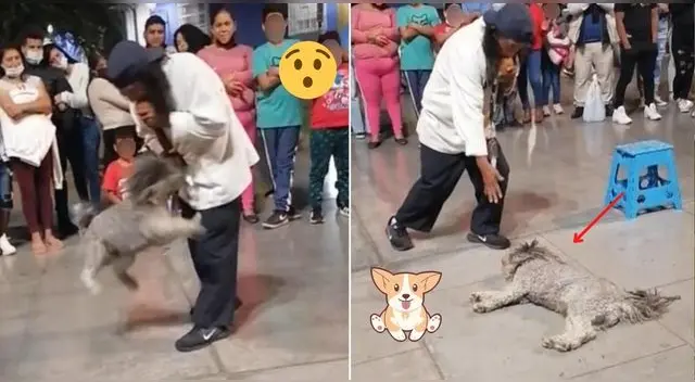 Los usuarios en TikTok destacaron el gran espectáculo que brindó el perrito junto a su amo. Los usuarios en TikTok destacaron el gran espectáculo que brindó el perrito junto a su amo.