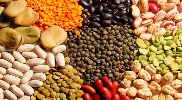 Menestras mantienen su precio, pese al alza del combustible