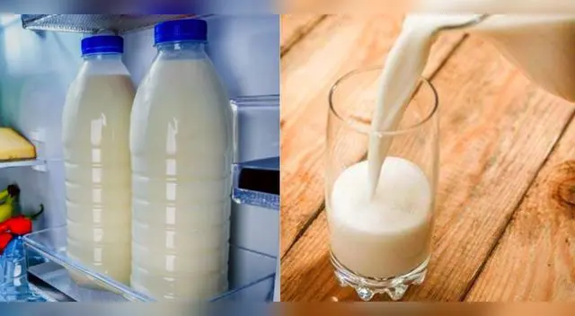 Siempre guarda la leche en tu refrigeradora.