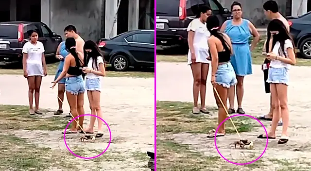 La joven camino con su cangrejo por la playa. La joven camino con su cangrejo por la playa.