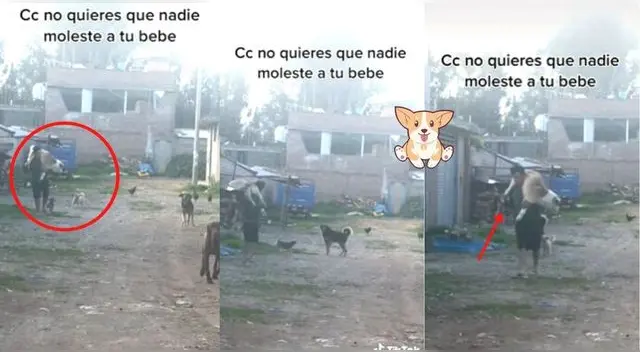 El perrito dejó que su amo lo cuidara todo el trayecto de regreso a su casa y se vuelve viral.