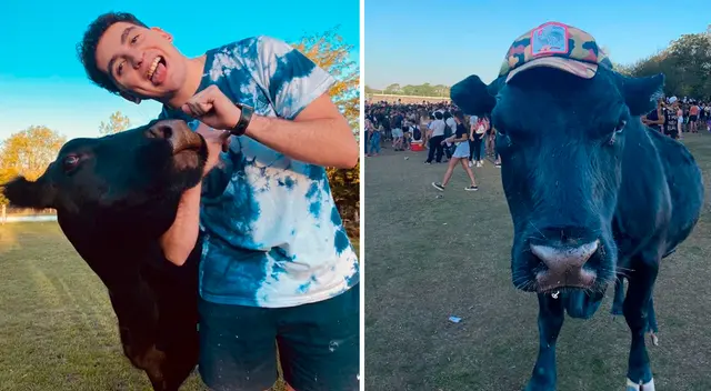 La vaca se deja poner bufandas, pelucas, globos para festejar la cantidad de seguidores y también participa en challenges.