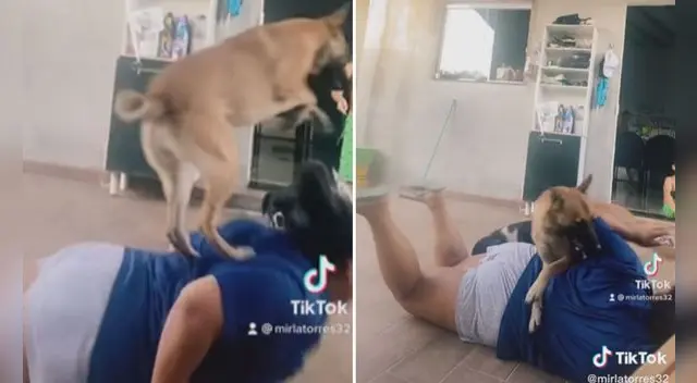 Miles de usuarios no han parado de reír con estas imágenes. Foto: captura de TikTok/GLR