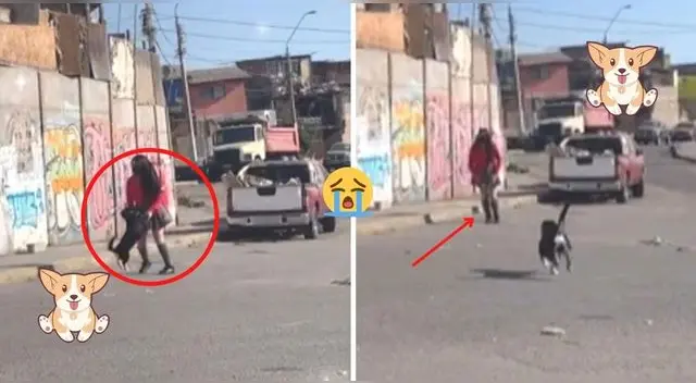 Lindos. Las imágenes lograron tocar los corazones de miles de usuarios en las redes sociales. Lindos. Las imágenes lograron tocar los corazones de miles de usuarios en las redes sociales.