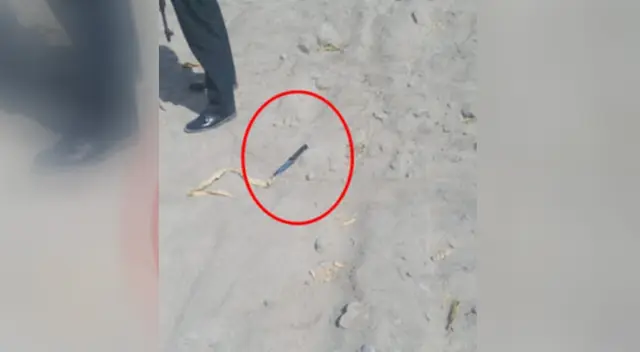 Delincuentes extranjeros intentaron asesinar a pescadores en Arequipa. Delincuentes extranjeros intentaron asesinar a pescadores en Arequipa.