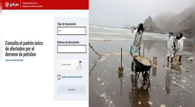 Conoce si eres acreedor del Bono Repsol Conoce si eres acreedor del Bono Repsol