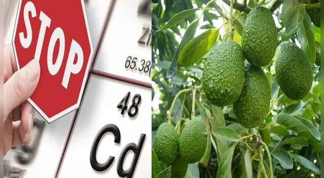 ¿Qué es el cadmio?