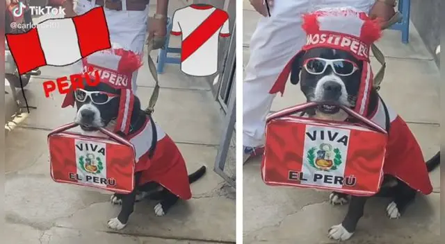 La escena consiguió más de 517.000 reproducciones en la red social. Foto: captura de TikTok