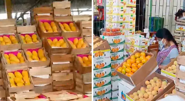 Más de 70 camiones llegaron durante la madrugada al Mercado de Frutas, en San Luis, gracias al desbloqueo de algunas vías. Más de 70 camiones llegaron durante la madrugada al Mercado de Frutas, en San Luis, gracias al desbloqueo de algunas vías.