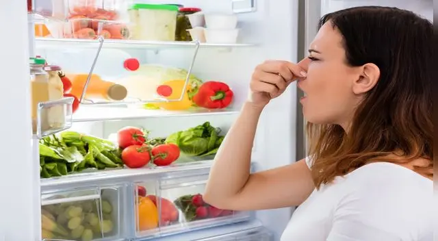 Conoce cómo erradicar el mal olor de tu refrigeradora