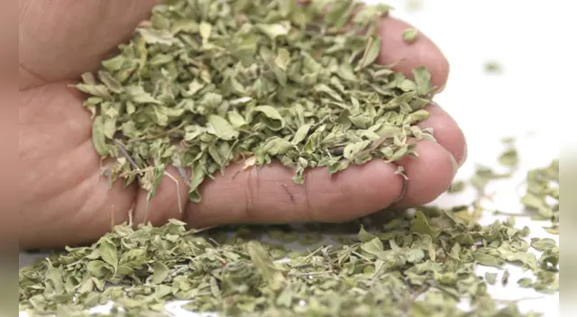 Conoce el remedio casero para aliviar el dolor estomacal. Conoce el remedio casero para aliviar el dolor estomacal.