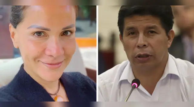 Mónica Sánchez reconoce incapacidad de gobernar de Castillo. Mónica Sánchez reconoce incapacidad de gobernar de Castillo.