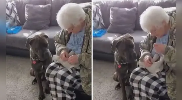 La tierna escena logró volverse tendencia en varias redes sociales. Foto: captura de TikTok La tierna escena logró volverse tendencia en varias redes sociales. Foto: captura de TikTok