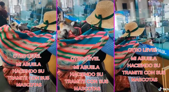 La abuelita no quiso dejar a sus mascotas solas en casa. La abuelita no quiso dejar a sus mascotas solas en casa.