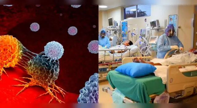 Los glóbulos rojos es la primera defensa en el organismo ante cualquier patógeno.