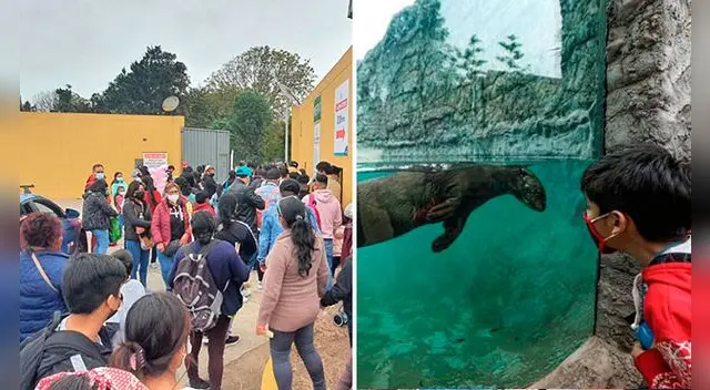 Semana Santa: ¿Qué actividades realizará el Parque de Las Leyendas este fin de semana?