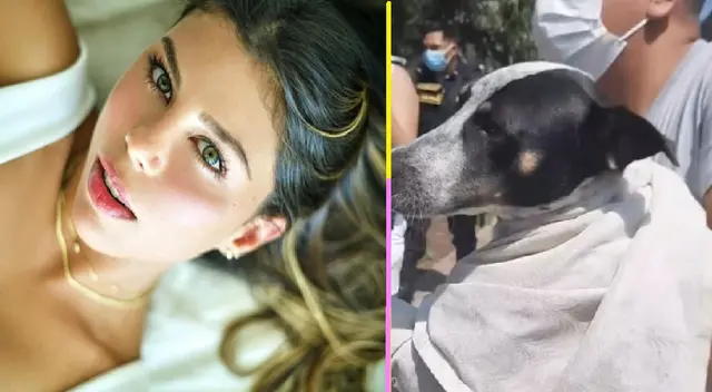 Alondra García Miró denuncia caso de maltrato animal. Alondra García Miró denuncia caso de maltrato animal.